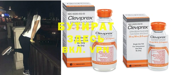 крисы Куйбышев