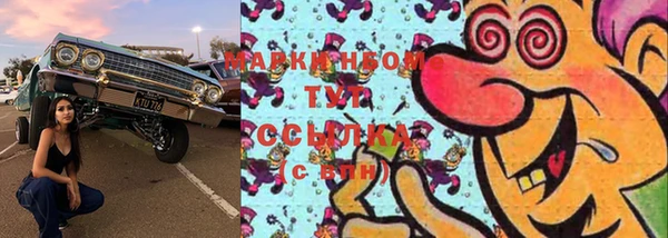 крисы Куйбышев